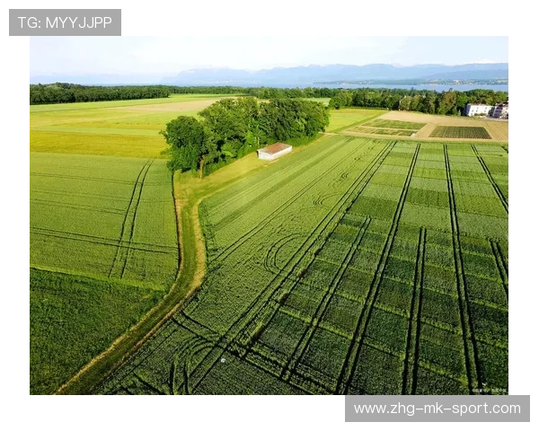 哥斯达黎加萨普里萨边路重建：拓展未来的绿色之路